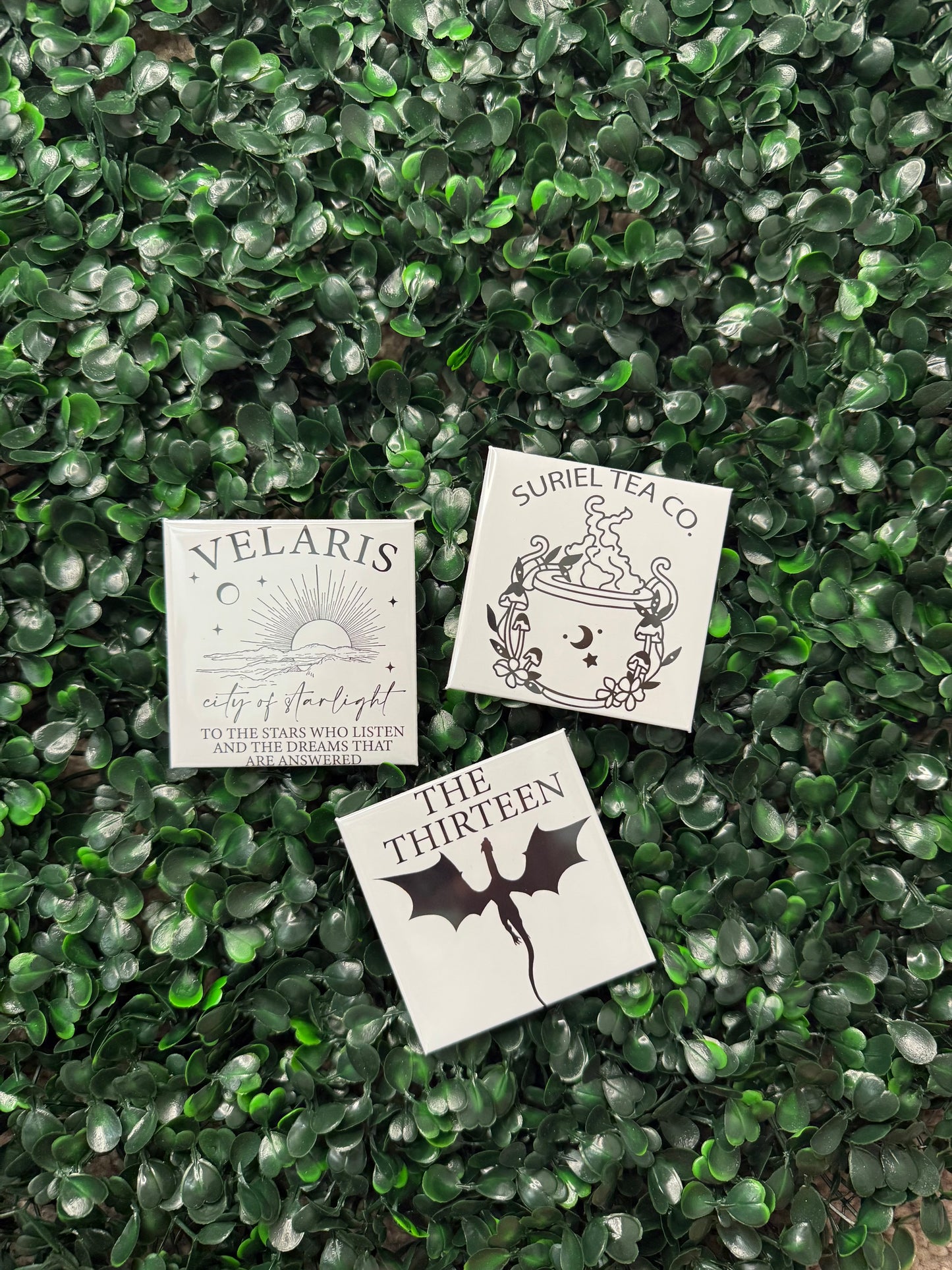 2.5” Acotar Magnets l Fourth Wing | Book Magnets