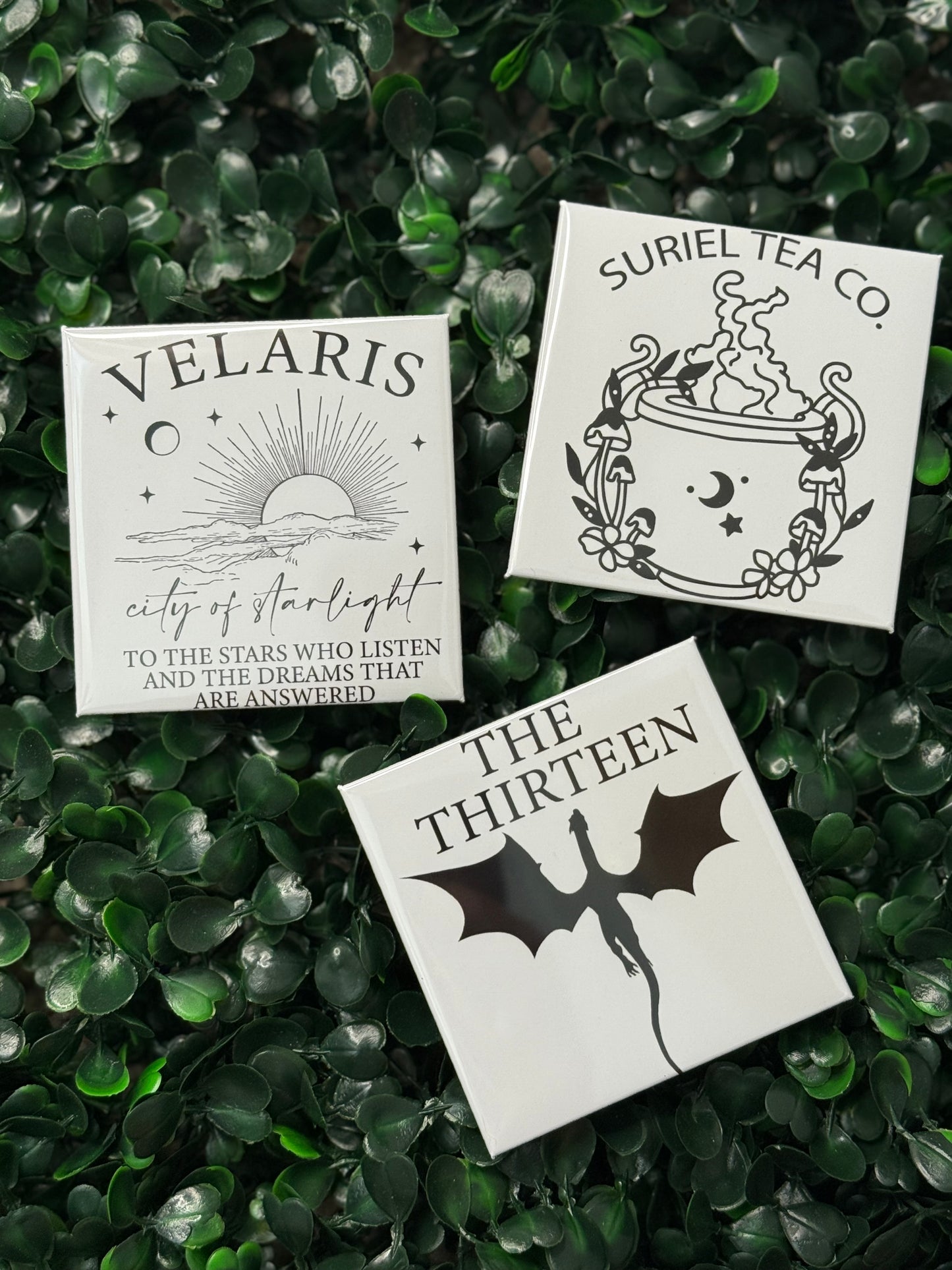 2.5” Acotar Magnets l Fourth Wing | Book Magnets